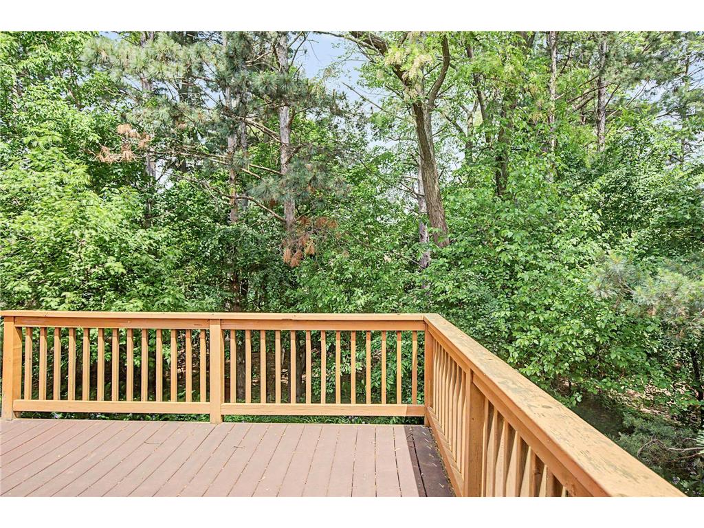 433 Majestic Court Shoreview MN 55126 7088551 image47