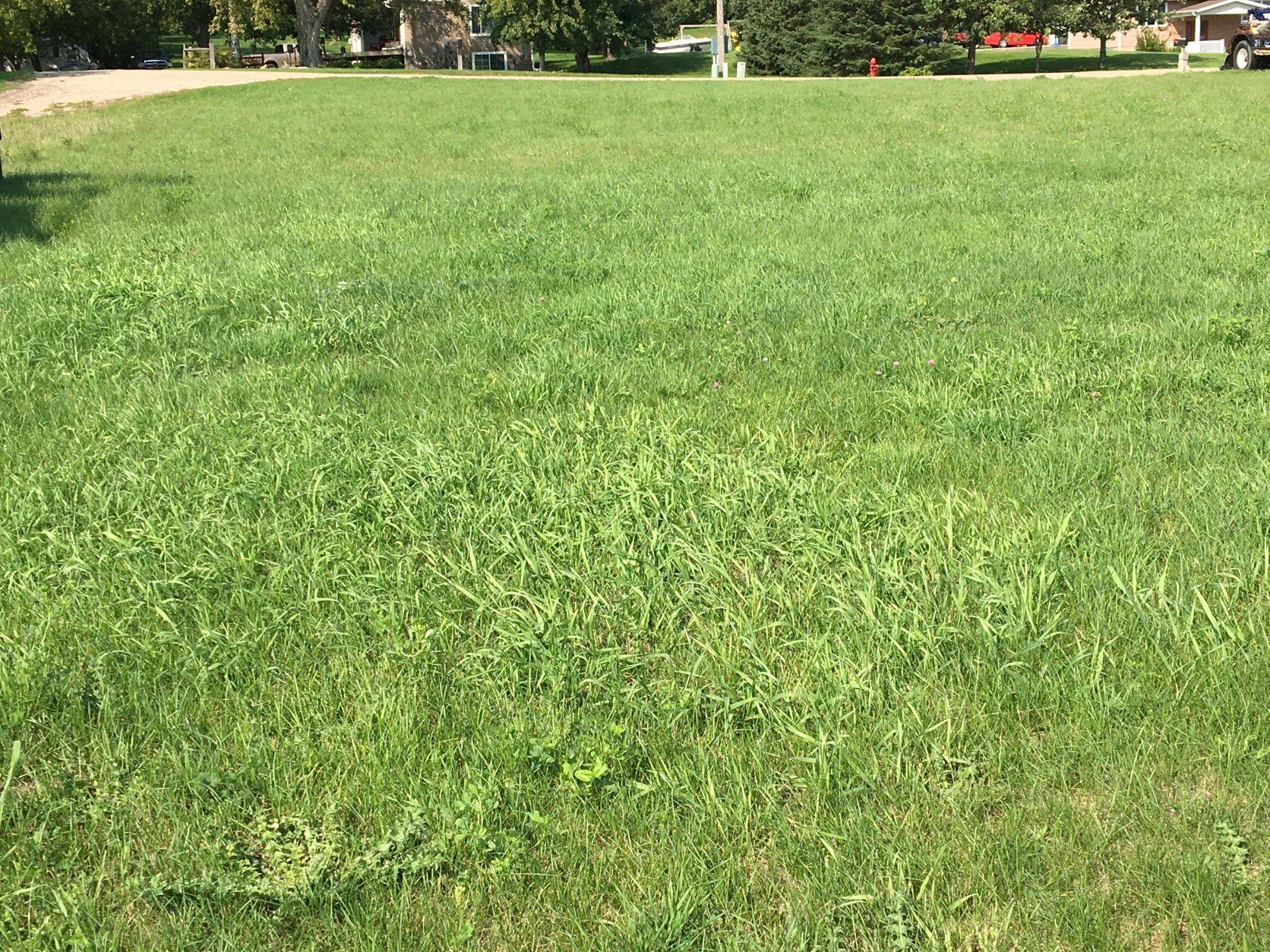 433 Pendergast Street Sauk Centre MN 56378 6094692 image1