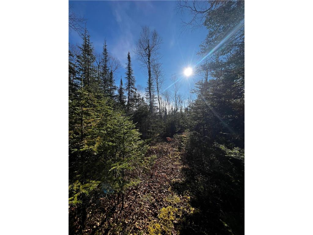 4331 Highway 61 (PARCEL A) Beaver Bay Twp MN 55616 6627664 image1