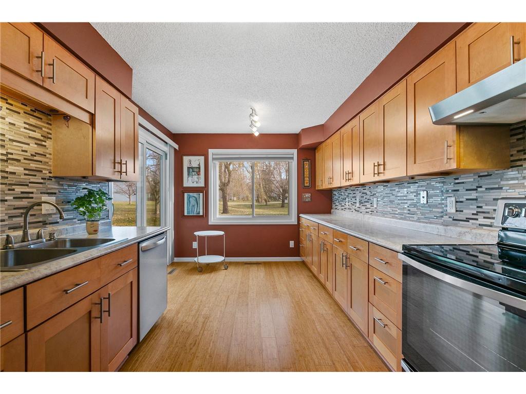 4334 Evergreen Drive #702 Vadnais Heights MN 55127 6462969 image1