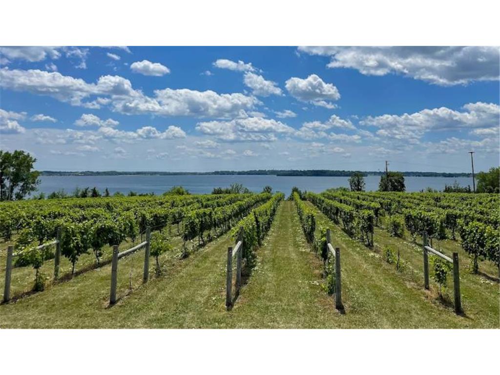 4337 Meadowview Drive Waconia MN 55387 7014893 image35