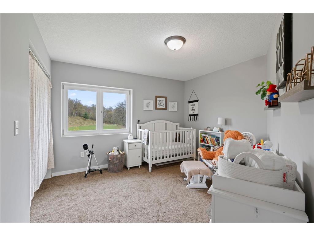 434 210th Avenue Somerset WI 54025 - St Croix River 7062910 image29