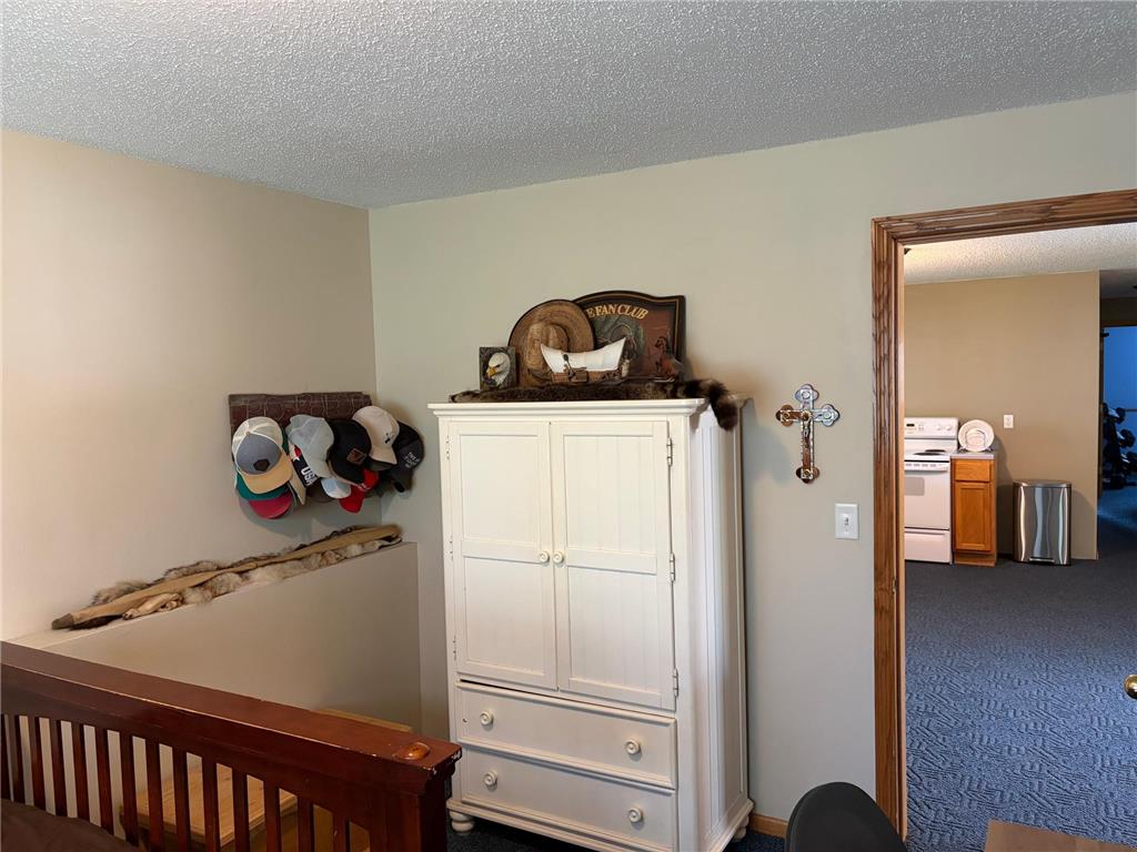 4348 107th Avenue SE Palmer Twp MN 55319 7086215 image33