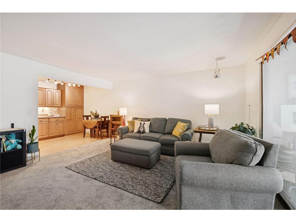 4350 Brookside Court #108 Edina MN 55436 - Minnehaha Creek 6822217 image8