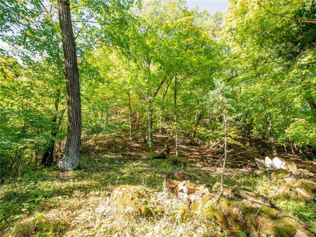 4350 River Road S Afton MN 55001 - St Croix River 6806834 image54
