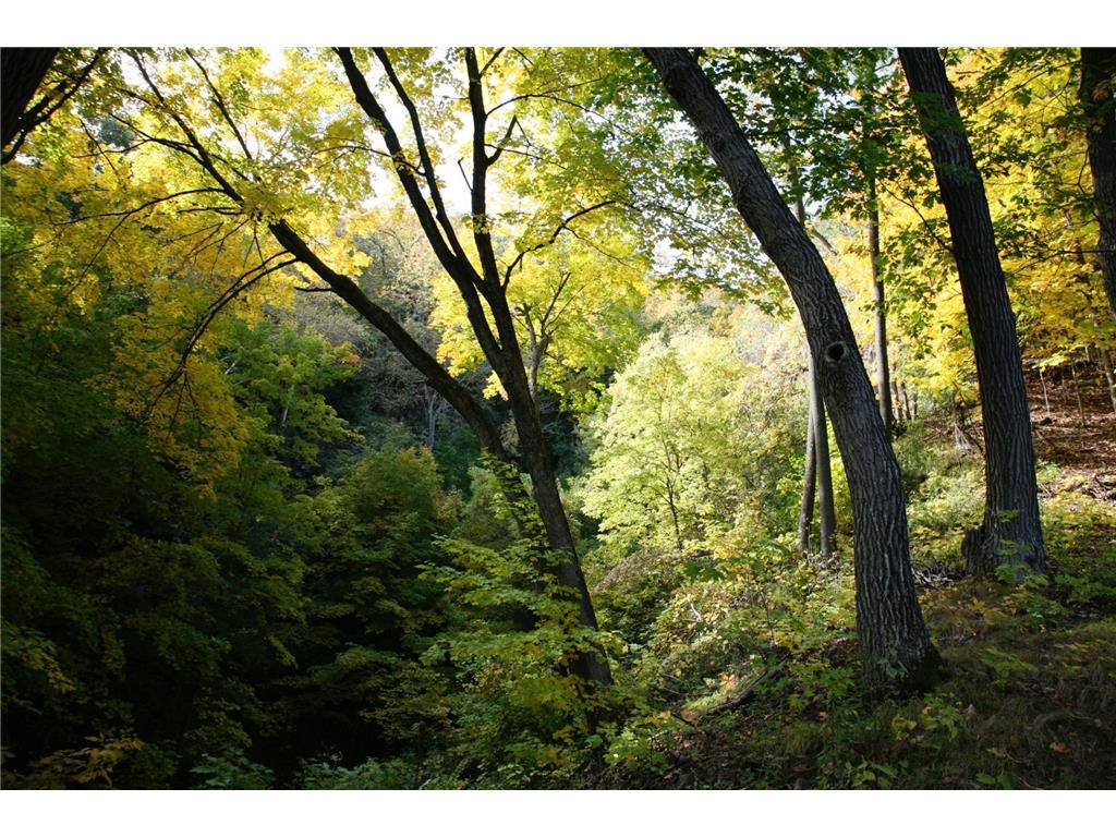 4350 River Road S Afton MN 55001 - St Croix River 6806834 image69