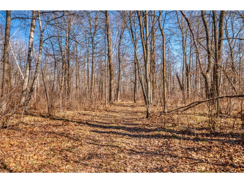 43522 US 71 Bemidji MN 56461 7058946 image39