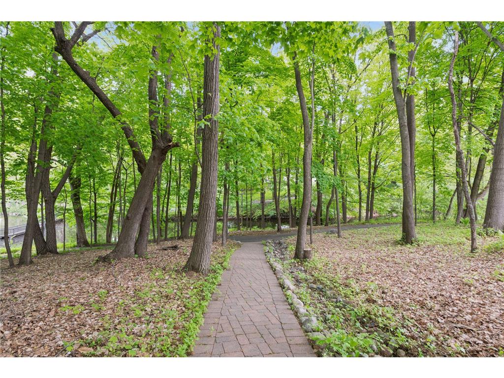 4355 Trillium Lane W Minnetrista MN 55364 - Lake Minnetonka 7080943 image78