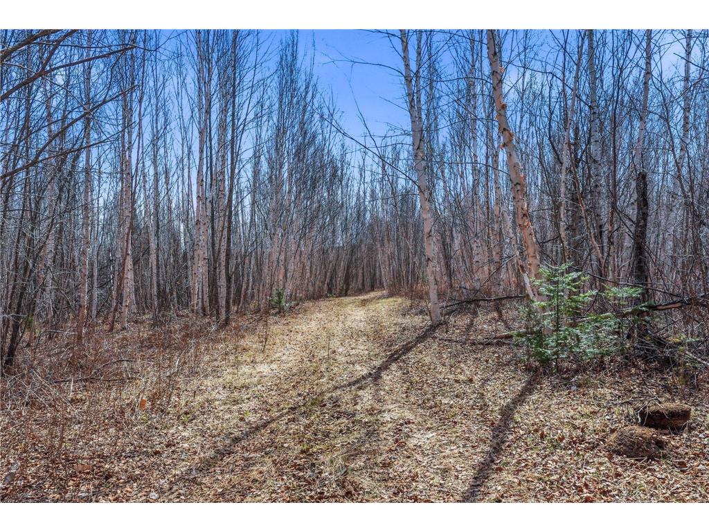 4359 Schweiger Road Leiding Twp MN 55771 7040322 image93
