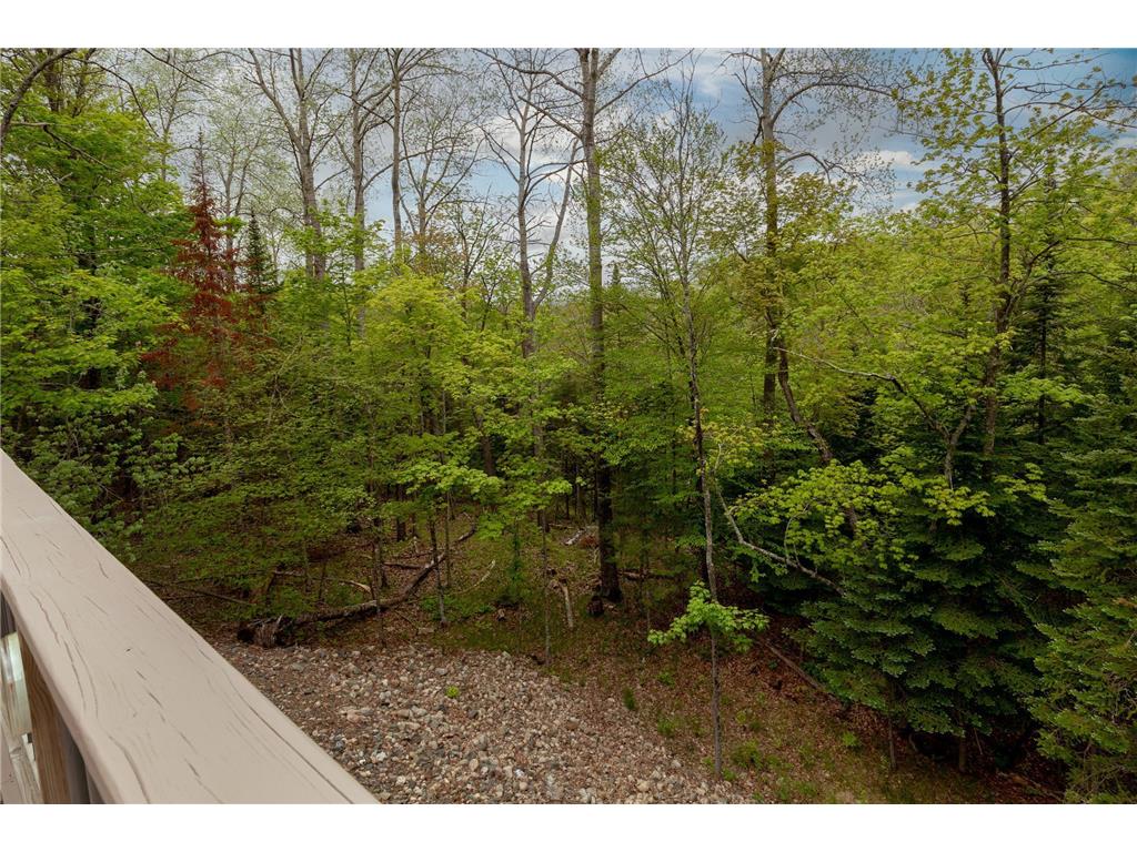 43591 309th Place, Palisade, MN, 56469 MLS 6541365 Edina Realty