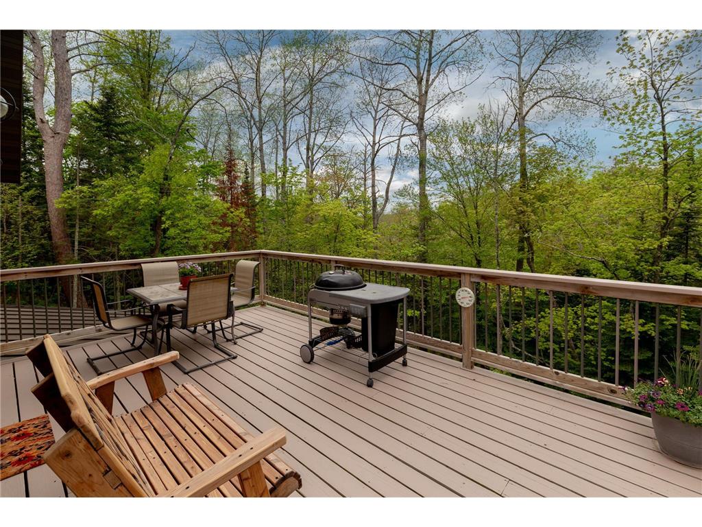 43591 309th Place, Palisade, MN, 56469 MLS 6541365 Edina Realty