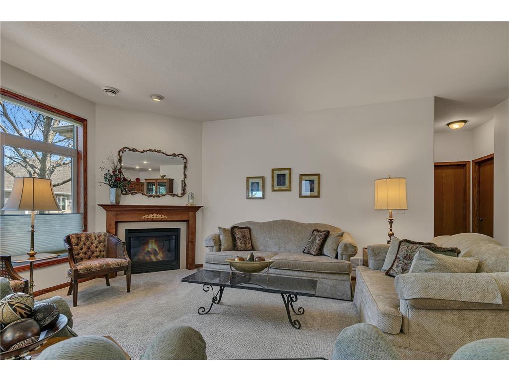 436 Wellington Circle Waite Park MN 56387 7048128 image8