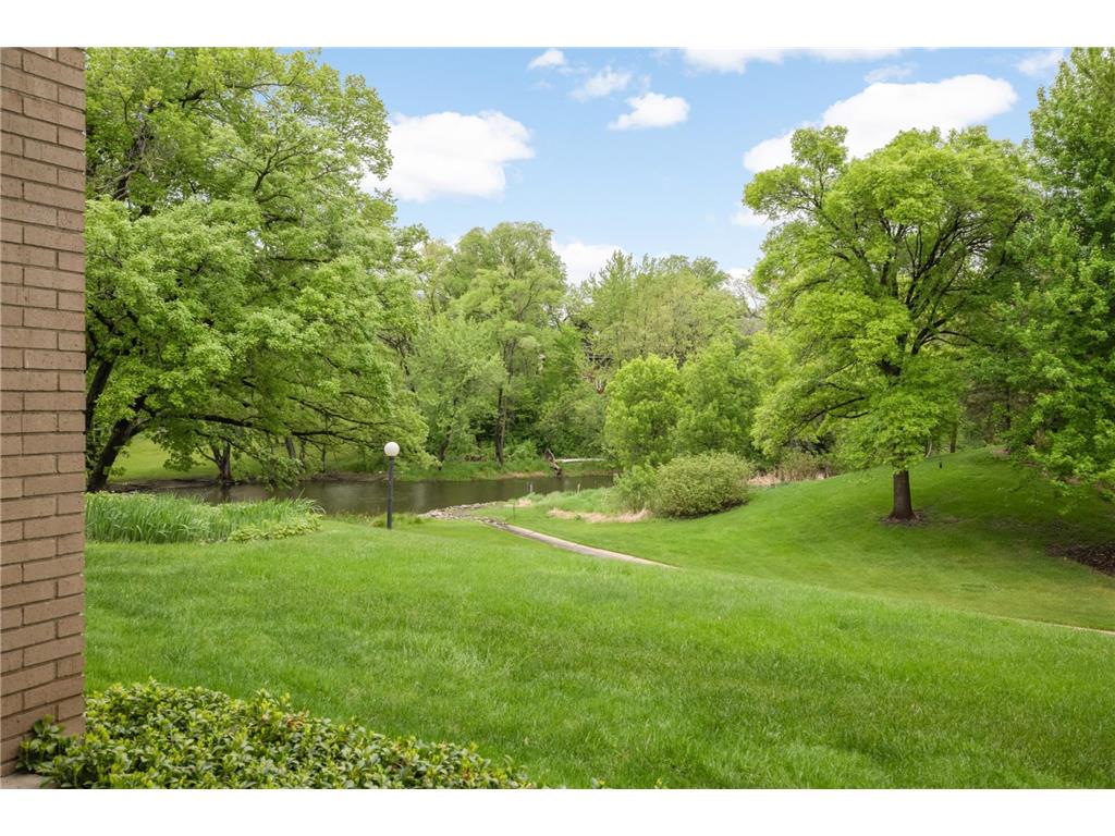 4360 Brookside Court #105 Edina MN 55436 - Minnehaha Creek 7076143 image22