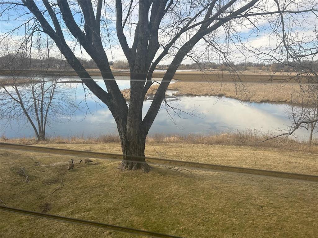 4360 Brookside Court #217 Edina MN 55436 6498748 image1