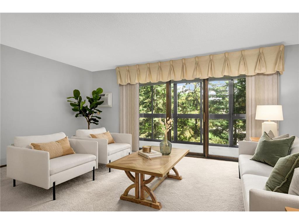 4360 Brookside Court #218 Edina MN 55436 7090036 image3