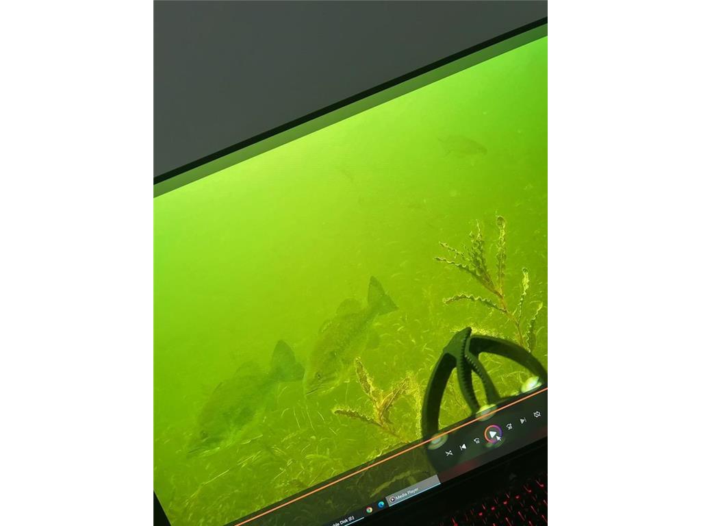 4363 Wilshire Boulevard #302 Mound MN 55364 - Lake Minnetonka 7077271 image23