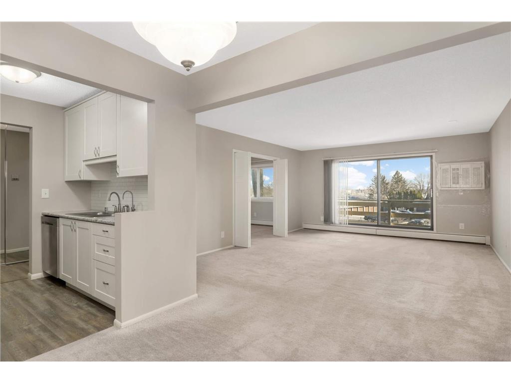 4371 Wilshire Boulevard #206 Mound MN 55364 - Lake Minnetonka 6685398 image1