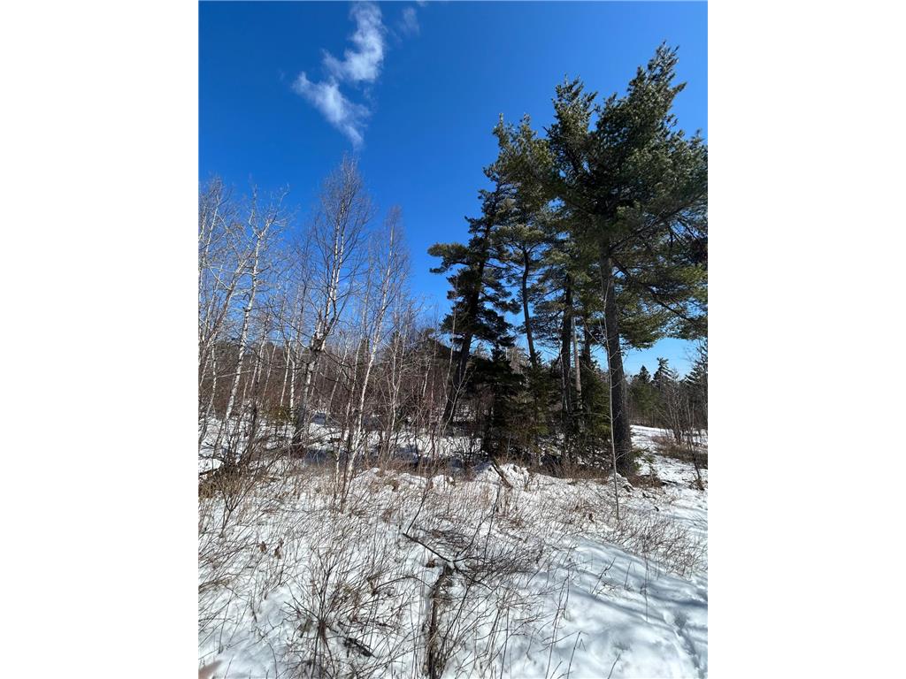4375 Wood Ridge Drive Beaver Bay MN 55601 6700442 image1