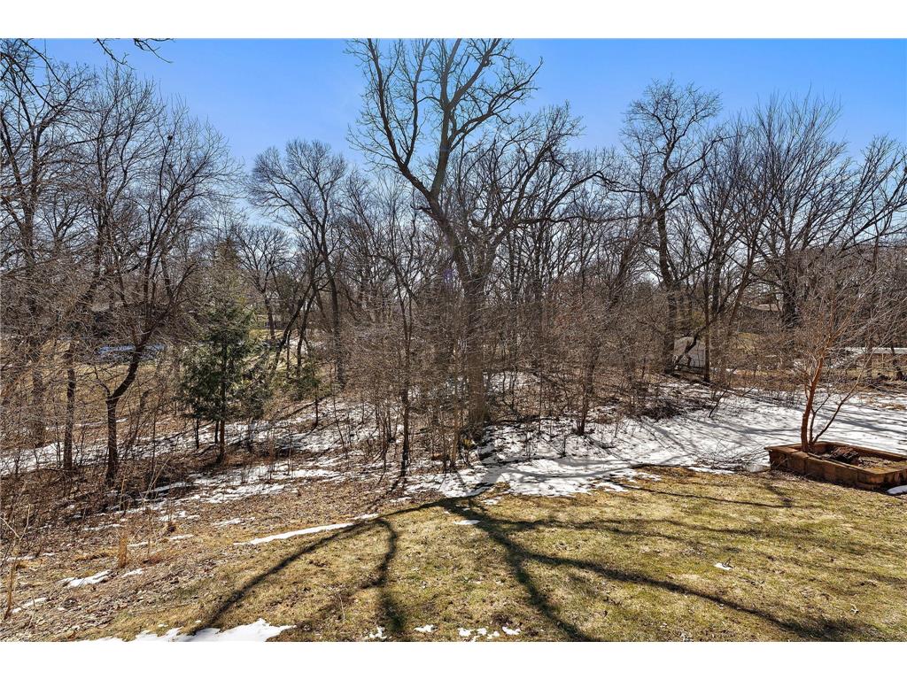 438 Wildwood Road Mahtomedi MN 55115 7026876 image60