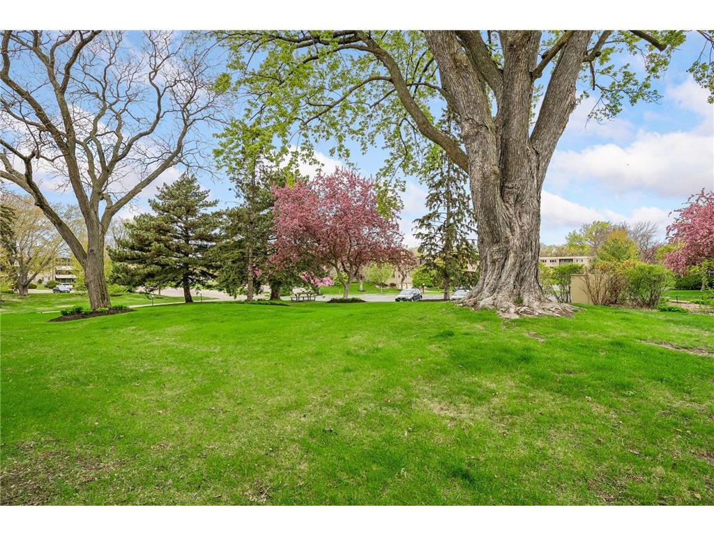 4380 Brookside Court #116 Edina MN 55436 7066002 image13