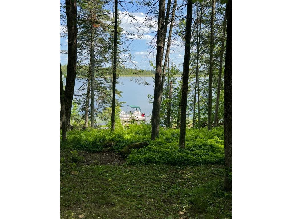 43826 Nature Avenue Palisade MN 56469 - Jenkins 6744196 image19