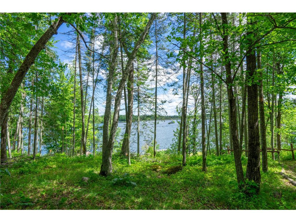 43826 Nature Avenue Palisade MN 56469 - Jenkins 7094612 image25