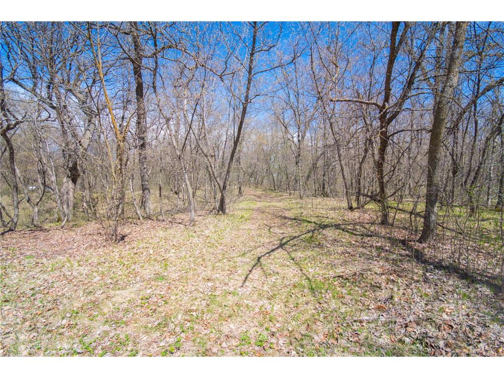 43854 Sylvia Crest Road Melrose Twp MN 56352 - Sylvia 7064454 image11