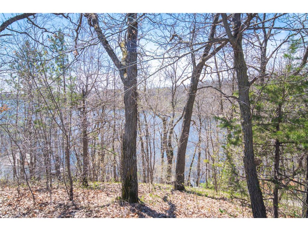 43854 Sylvia Crest Road Melrose Twp MN 56352 - Sylvia 7064454 image14