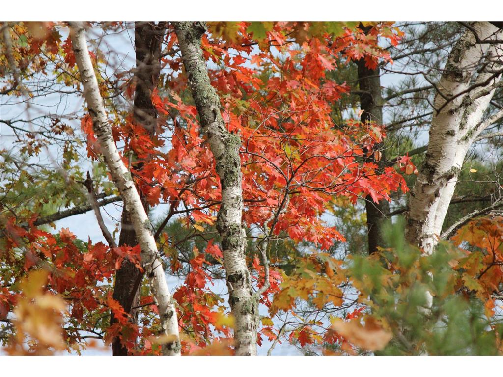 4388 Robin Lane NW Hackensack MN 56452 - Stony Lake 7016267 image102