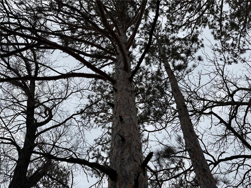 4388 Robin Lane NW Hackensack MN 56452 - Stony Lake 7016267 image78