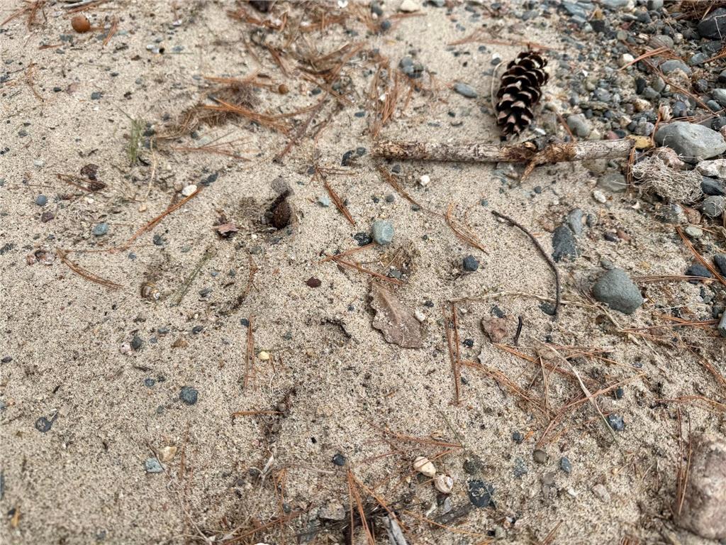 4388 Robin Lane NW Hackensack MN 56452 - Stony Lake 7016267 image89