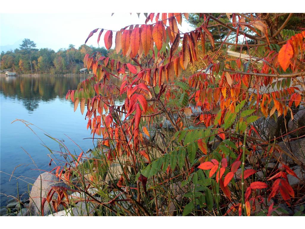 4388 Robin Lane NW Hackensack MN 56452 - Stony Lake 7016267 image99