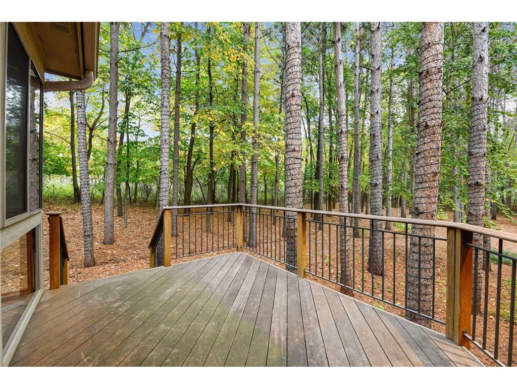 4390 Trillium Lane W Minnetrista MN 55364 7091901 image30