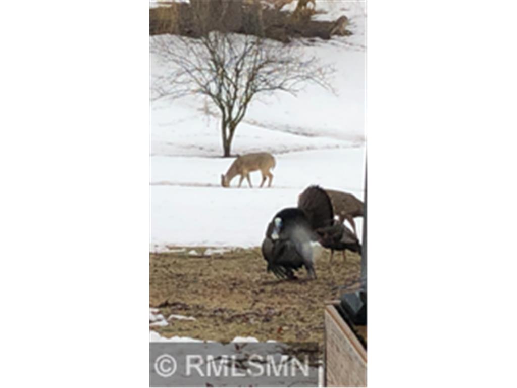 4391 Bridgewater Road Fair Haven Twp MN 55382 - Caroline 7028671 image11
