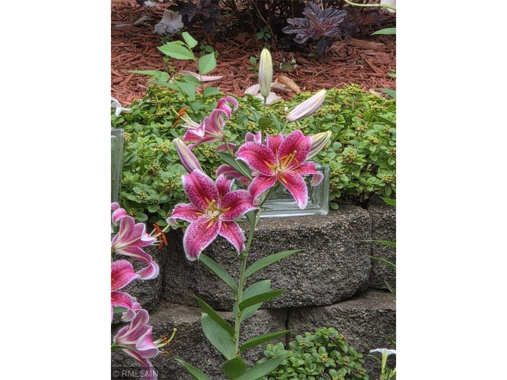 4391 Bridgewater Road Fair Haven Twp MN 55382 - Caroline 7028671 image9