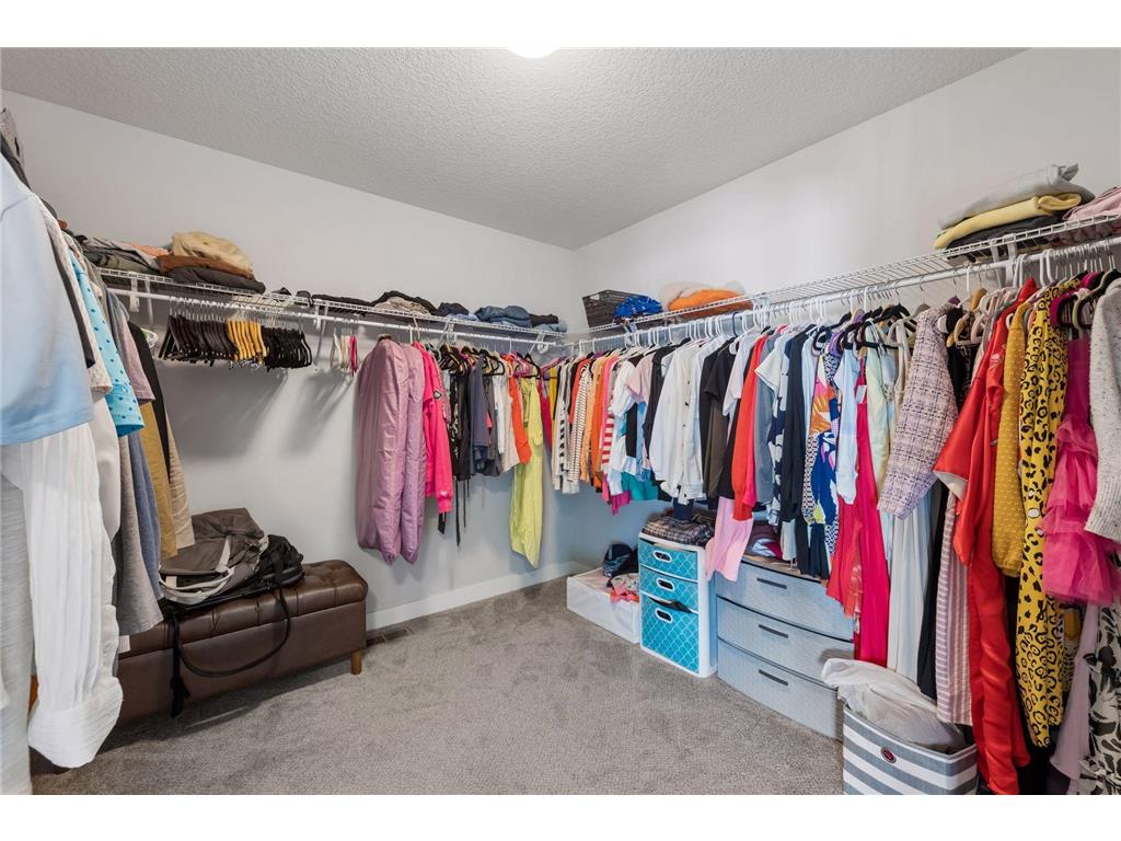 4392 Millstone Court Chaska MN 55318 7089302 image38