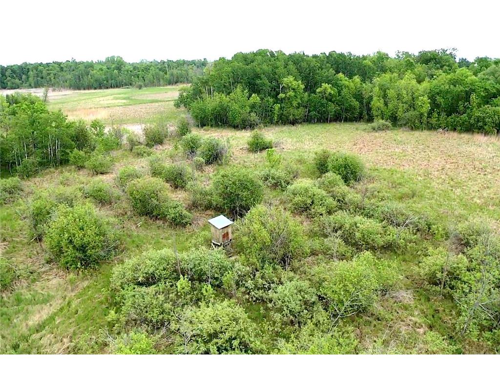 43931 355th Street Rush Lake Twp MN 56571 - Otter Tail River 7084123 image11