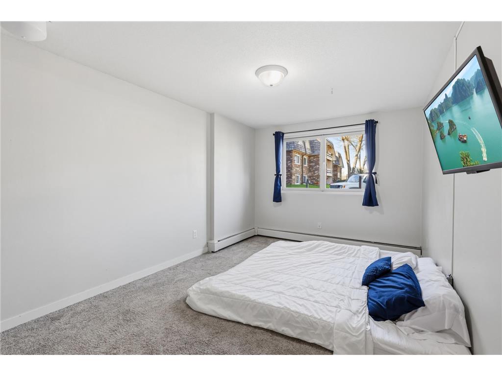 4397 Wilshire Boulevard #103 Mound MN 55364 - Lake Minnetonka 7065736 image19
