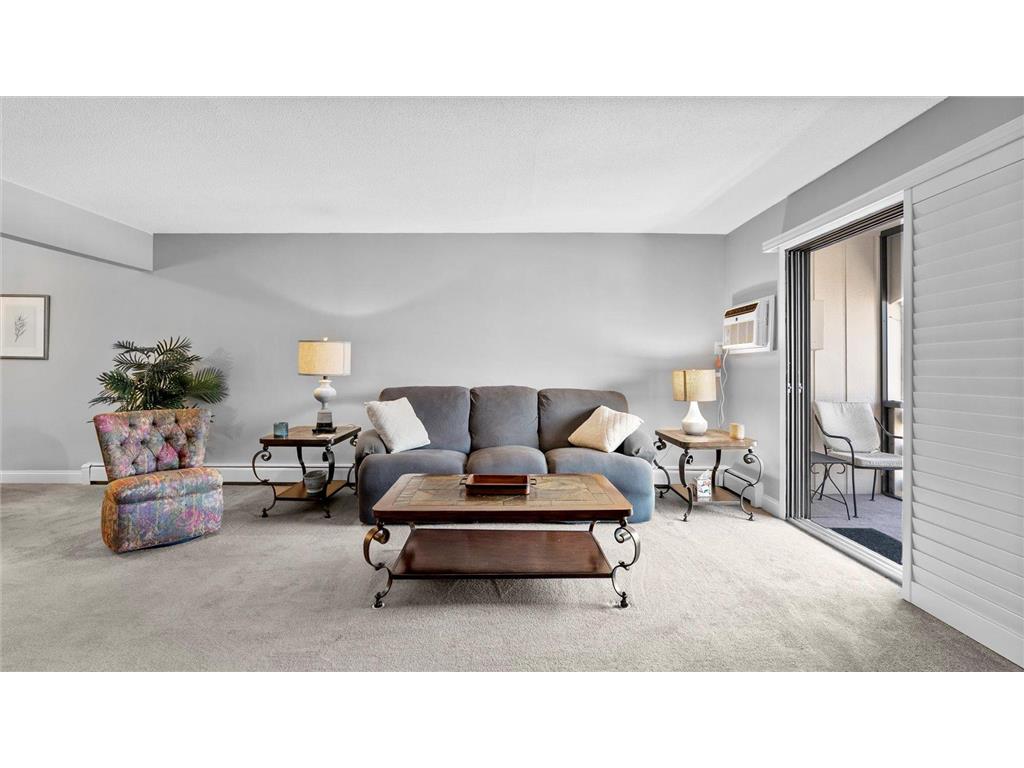 4397 Wilshire Boulevard #E305 Mound MN 55364 - Lake Minnetonka 6798198 image13