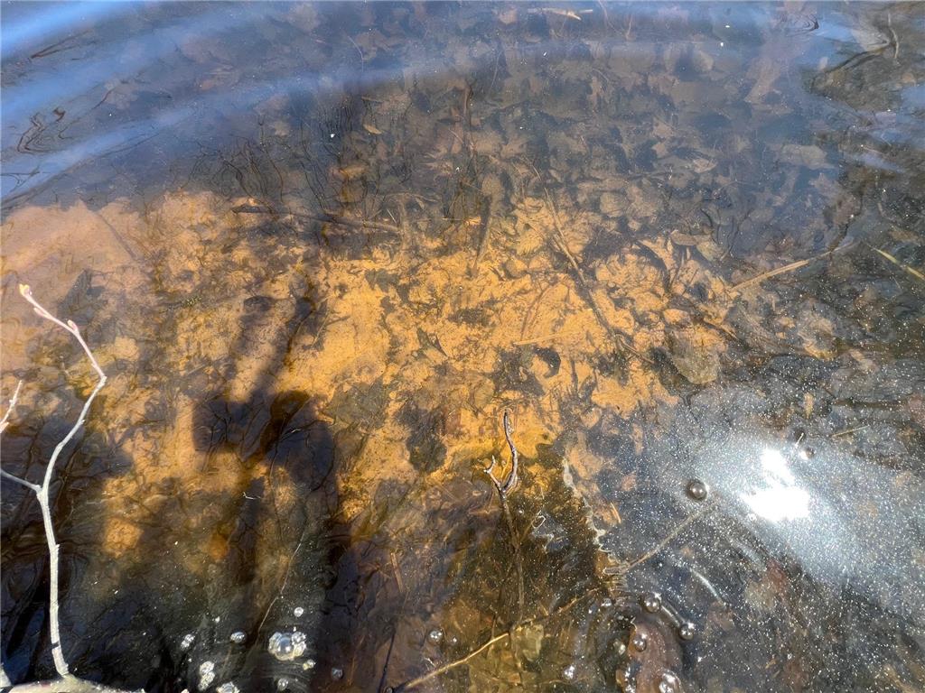 43TBD Red Oak Lane Stone Lake WI 54876 - Slim Lake 7058248 image15