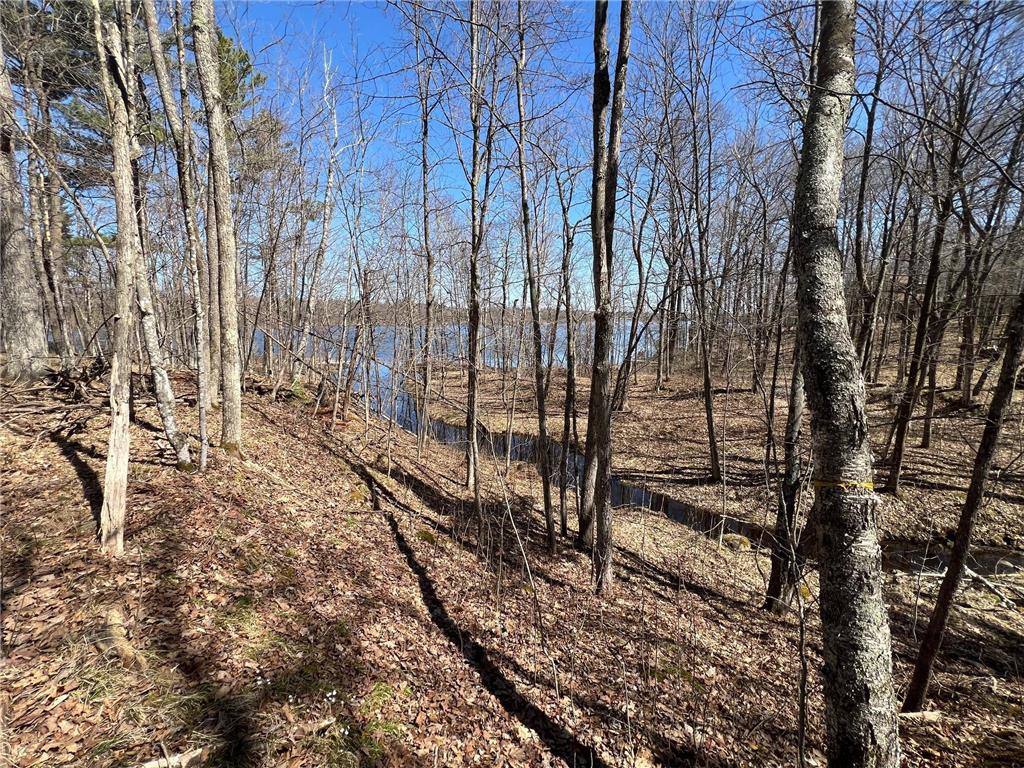 43TBD Red Oak Lane Stone Lake WI 54876 - Slim Lake 7058248 image3