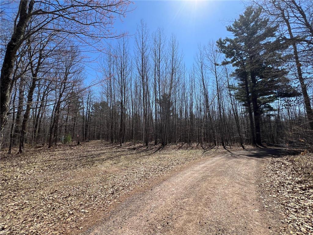 43TBD Red Oak Lane Stone Lake WI 54876 - Slim Lake 7058248 image4