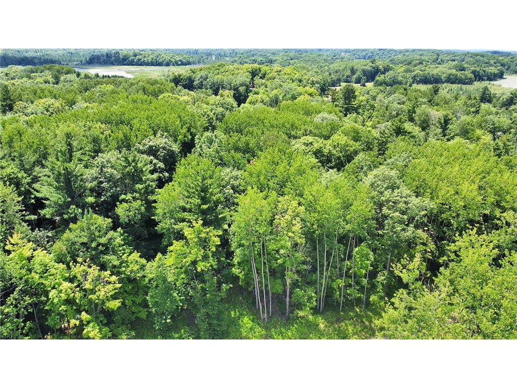 43XXX Daisy Street Aitkin MN 56431 - Hammal 6752402 image13