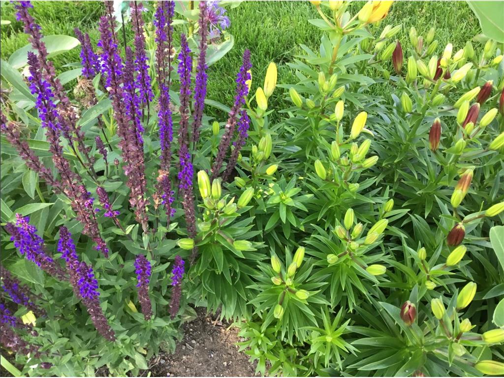 44 Harmony Drive Thomson Twp MN 55733 7047650 image41