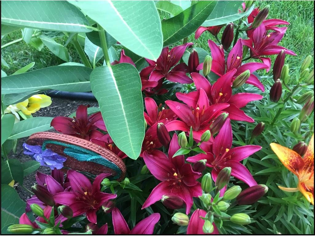 44 Harmony Drive Thomson Twp MN 55733 7047650 image42