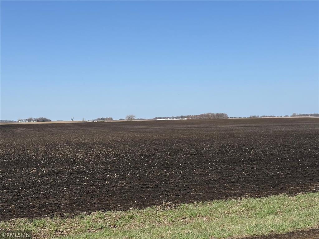 440 440th Palmyra Twp MN 55342 7052903 image1