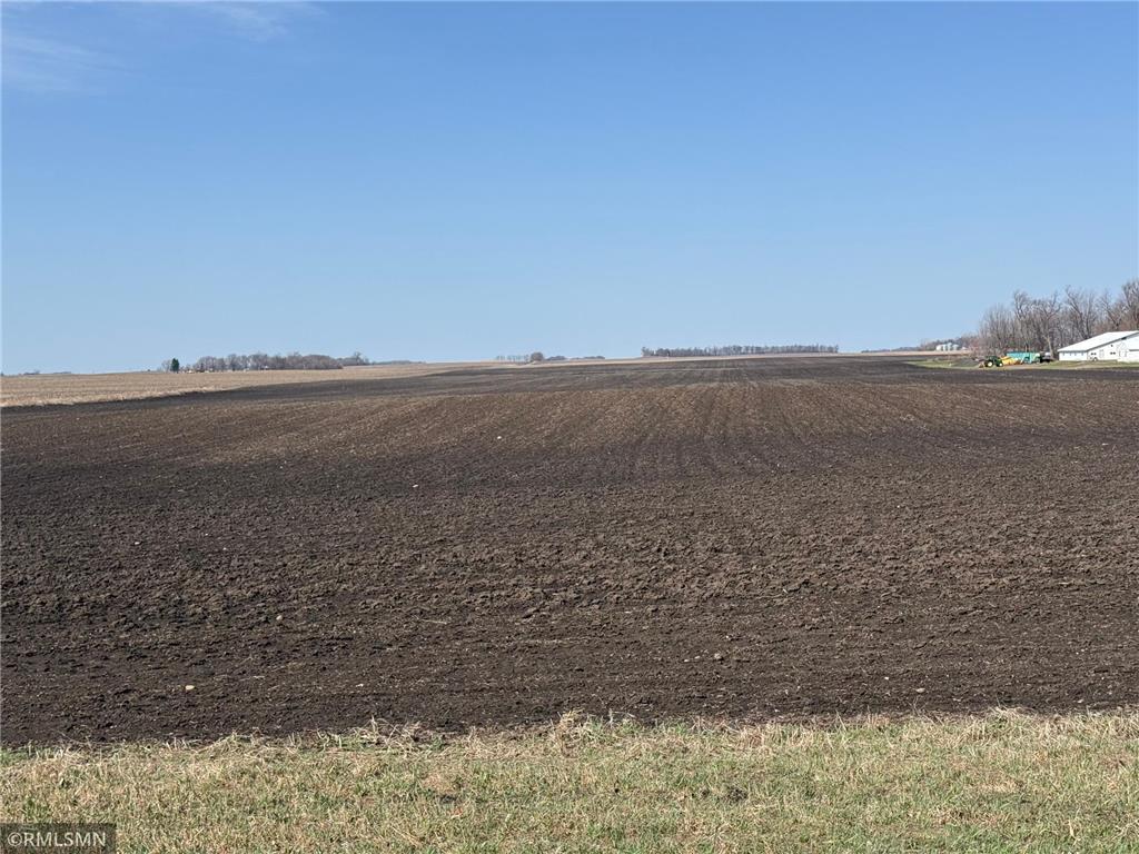 440 440th Palmyra Twp MN 55342 7052903 image3