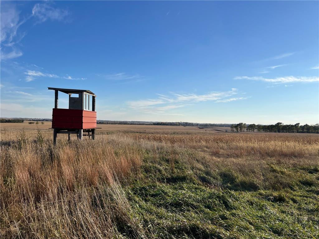 440 90th Avenue NE Benson MN 56215 6818729 image11