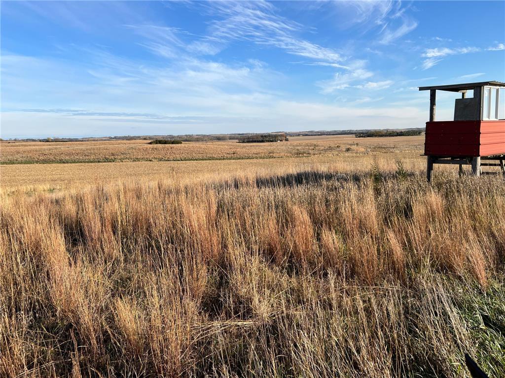 440 90th Avenue NE Benson MN 56215 6818729 image14