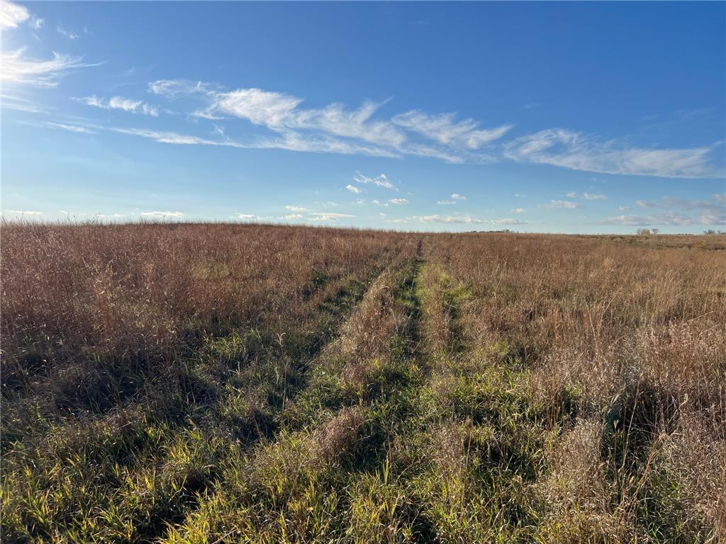 440 90th Avenue NE Benson MN 56215 6818729 image2